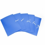 Teczka kartonowa wiązana Emerson kolorowy A4 kolor: niebieski 300 g (tcka4niew30010)