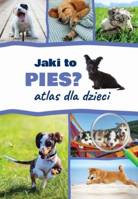 Jaki to pies? Atlas dla dzieci - Anna Iglikowska