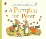 Peter Rabbit Tales - A Pumpkin for Peter Beatrix Potter