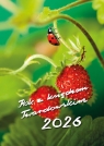 Kalendarz 2026 Rok z ks.Twardowskim biedronka Jan Twardowski