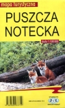 Puszcza Notecka 1:100 000