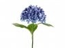 Hortensja Premium granatowa 69cm