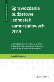 Sprawozdania budżetowe jednostek samorządowych 2018 - Wieczorek Piotr