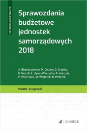 Sprawozdania budżetowe jednostek samorządowych 2018 - Piotr Wieczorek