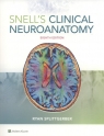 Snell's Clinical Neuroanatomy Eighth edition Splittgerber Ryan
