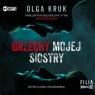 Grzechy mojej siostry audiobook Olga Kruk