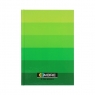 Brulion Top 2000 Ombre, A5/96k, kratka - zielony (400089374)