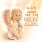 Niech czuwa nad tobą dobry anioł - Opracowanie zbiorowe, Opracowanie zbiorowe