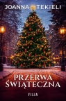 Przerwa świąteczna