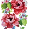 Serwetki Watercolors Roses K SDC847000 SDL077600