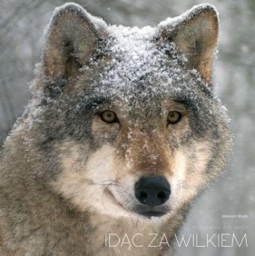 Idąc za wilkiem - Wąsik Sławomir