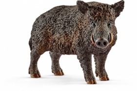Schleich Wild Life, Dzik (14783)