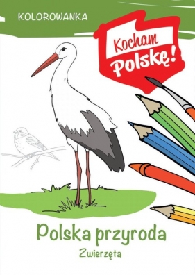 Kolorowanka. Polska przyroda zwierzęta - Kiełbasiński Krzysztof
