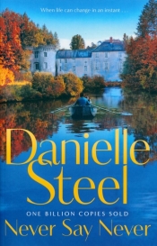 Never Say Never - Danielle Steel