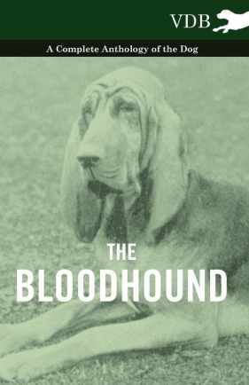 The Bloodhound - A Complete Anthology of the Dog - - Various