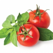 Serwetka GARDEN TOMATOES