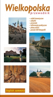 Przewodnik Wielkopolska - Anna Plenzler