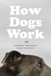 How Dogs Work - Coppinger Raymond