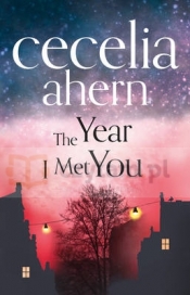 Year I Met You, The