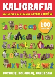 Poznaję, koloruję, naklejam - Kaligrafia - Opracowanie zbiorowe