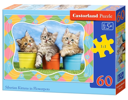 Puzzle Siberian Kittens in  Flowerpots 60 elementów (06762)