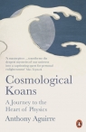 Cosmological Koans A Journey to the Heart of Physics Anthony Aguirre