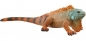 Schleich, Legwan (14854)