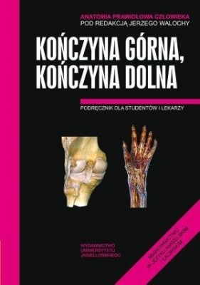 Anatomia Prawidłowa Człowieka Kończyna górna, Kończyna dolna