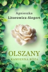 Kamienna róża. Cykl Olszany. Tom 2 Agnieszka Litorowicz-Siegert