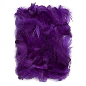 Piórka 5-12 cm 10g purple