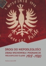 Drogi do niepodległości Ziemia wschowska i pogranicze wielkopolsko-śląskie