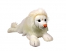 <img src='https://webimage.pl/pics/765/3/d5905965333765.jpg' width='400' height='310'> Lew biały 60cm