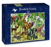 Bluebird Puzzle 1000: Afrykańskie zwierzęta na pustyni (70476)