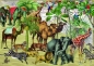 Bluebird Puzzle 1000: Afrykańskie zwierzęta na pustyni (70476)
