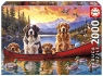 Puzzle Rodzinna wycieczka 2000 el 114114 14 +