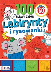 Labirynty i rysowanki. Ponad 100 zabaw i zadań - Monika Majewska