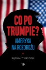 Co po Trumpie? Ameryka na rozdrożu Magdalena Górnicka-Partyka .