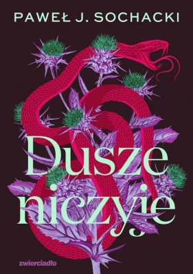 Dusze niczyje. Wielkie Litery - Paweł J. Sochacki