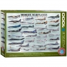  Puzzle 1000 Modern Warplanes 6000-007610+
