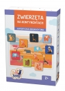 Zwierzęta na kontynentach Gra edukacyjna, Wiek: 2+