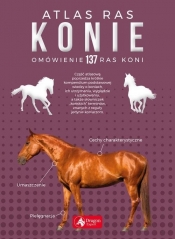 Konie Atlas ras (OUTLET - USZKODZENIE) - Katarzyna Piechocka