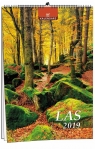 Kalendarz 2019 13 Planszowy Las EV-CORP