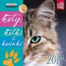 Kalendarz ścienny Koty, kotki 2019