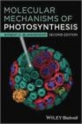 Molecular Mechanisms of Photosynthesis Robert Blankenship