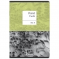 Zeszyt Herlitz Premium Earth A5/96k kratka z marginesem, 1 szt