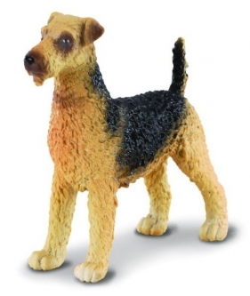 Szczenię Airedale terrier