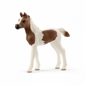 Schleich 13839 Źrebię rasy pintabian