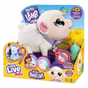 Little Live Pets, Owieczka