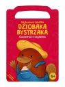 Odjazdowa szkółka