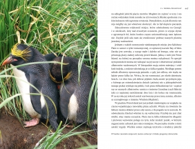 Czochrałem antarktycznego słonia (wydanie rozszerzone) - Mikołaj Golachowski